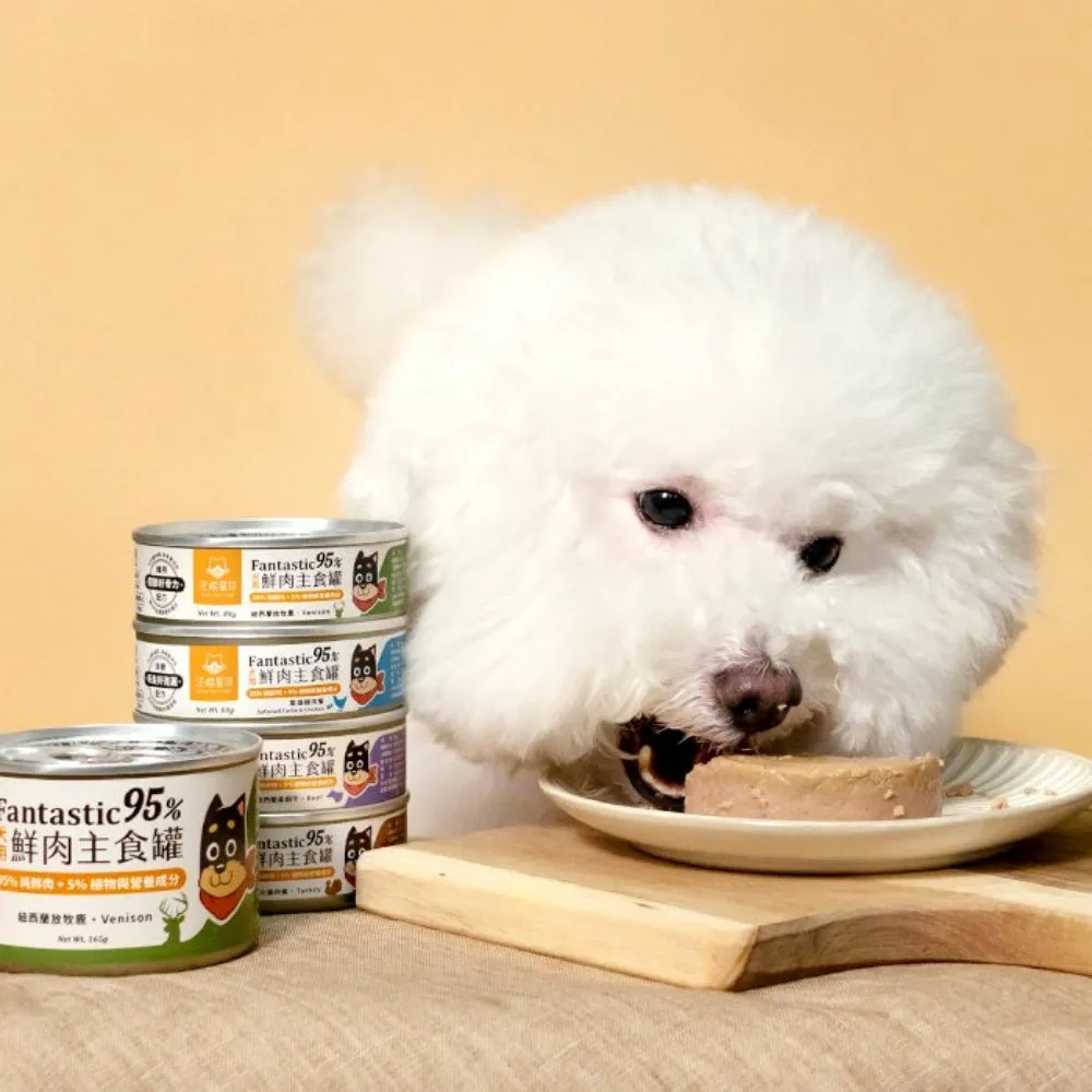 Fantastic 95% - Grass-Fed Beef Complete Balanced Dog Can