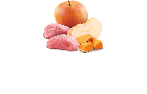 Farmina N&D Pumpkin Wild Boar, Pumpkin & Apple Canned Dog Food
