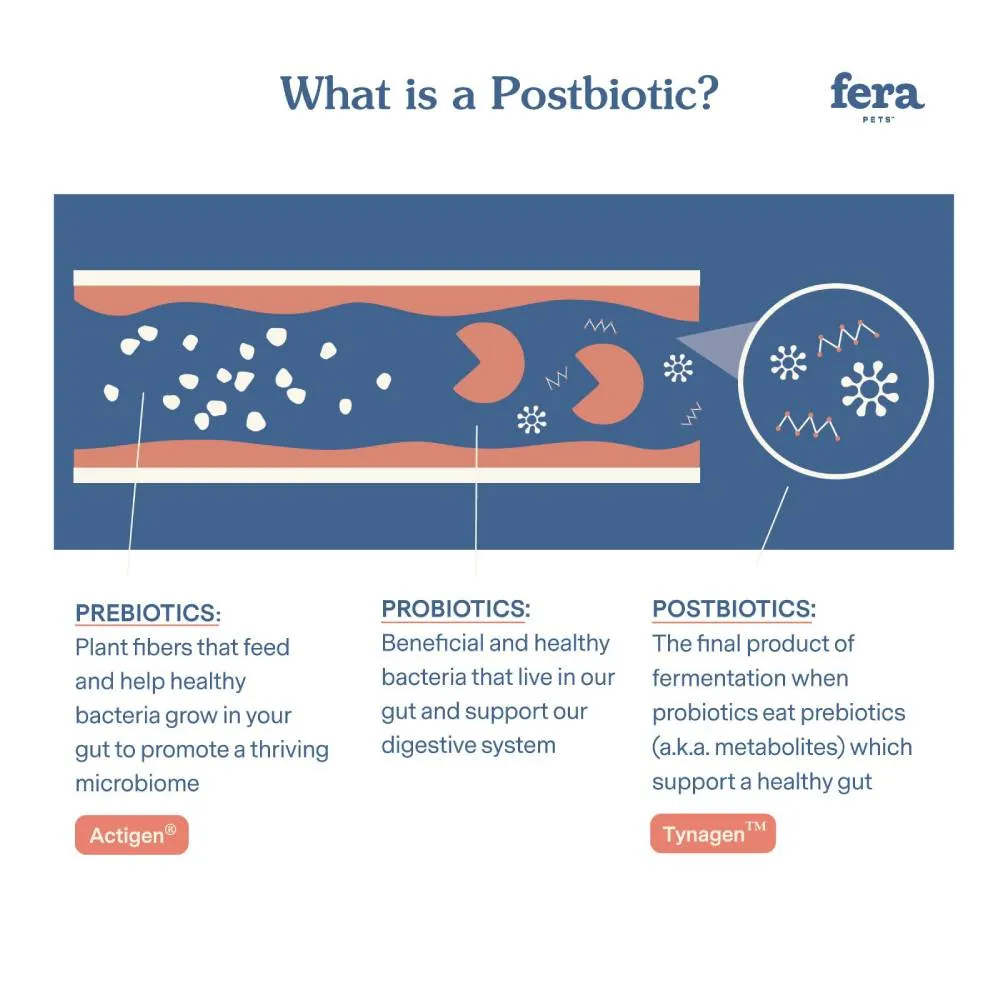Fera Pets Dogs & Cats Postbiotics Plus Microbiome Support 2.12oz