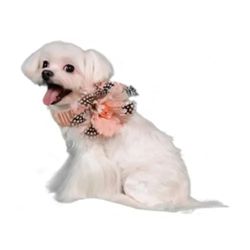 Florence Deco Dog Collar