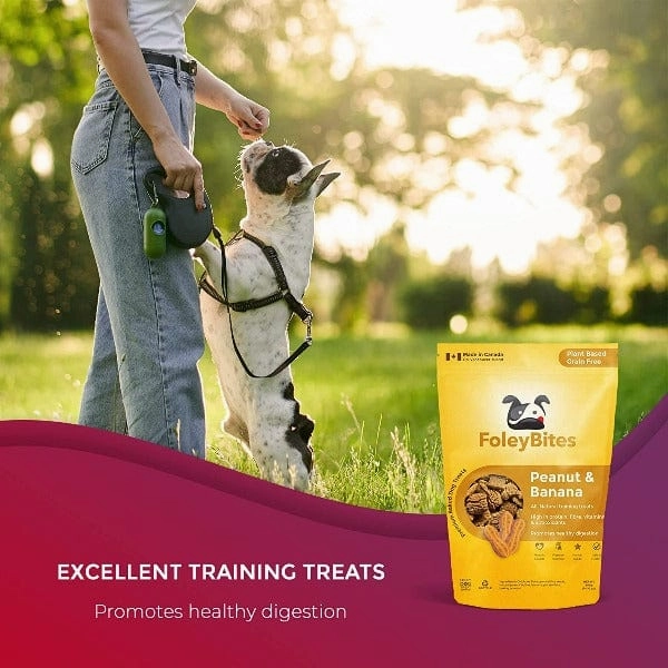 Foley Bites Peanut & Banana Premium Baked Dog Treats