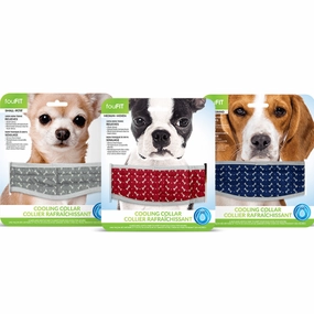 fouFIT Cooling Dog Collar