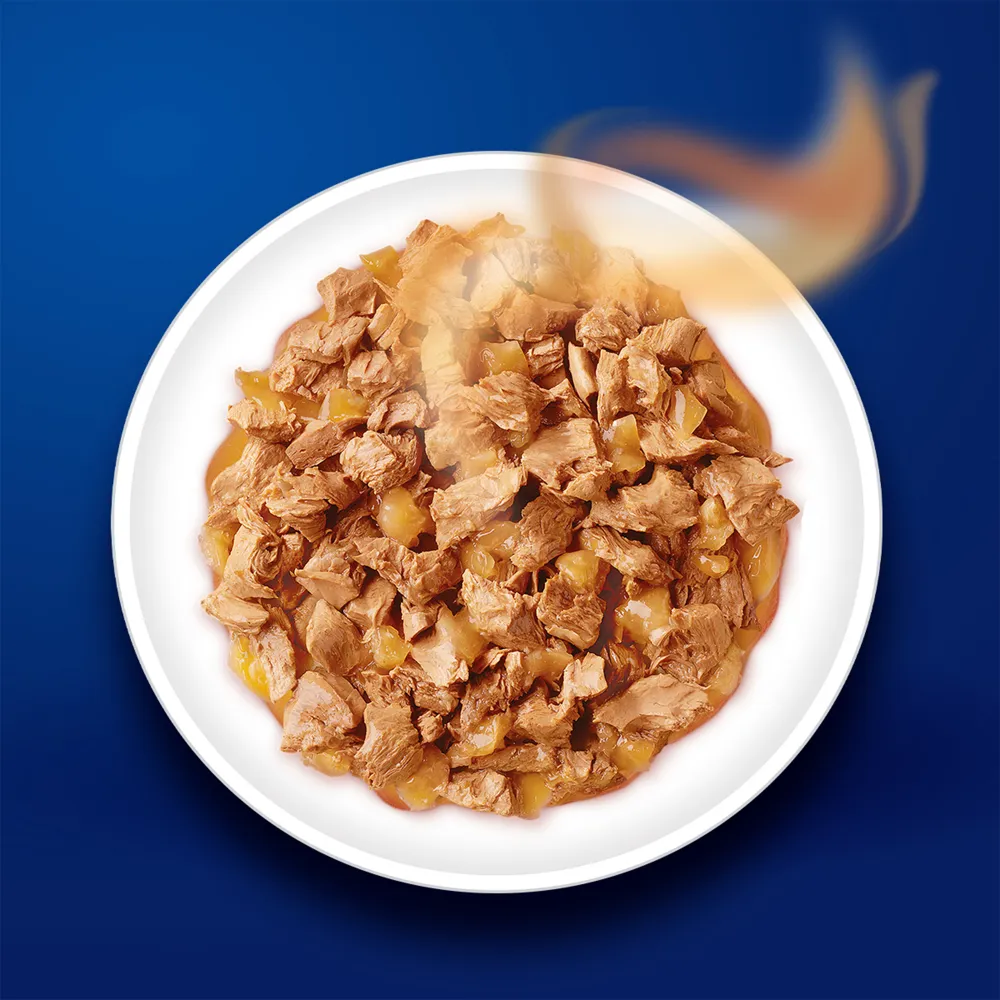 Friskies Kitten Cat Dry Food and Purina Felix Chicken with Jelly Kitten Cat Wet Food Combo