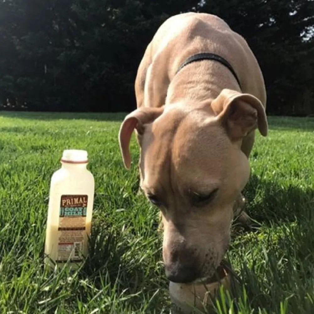 Frozen - Raw Goat Milk