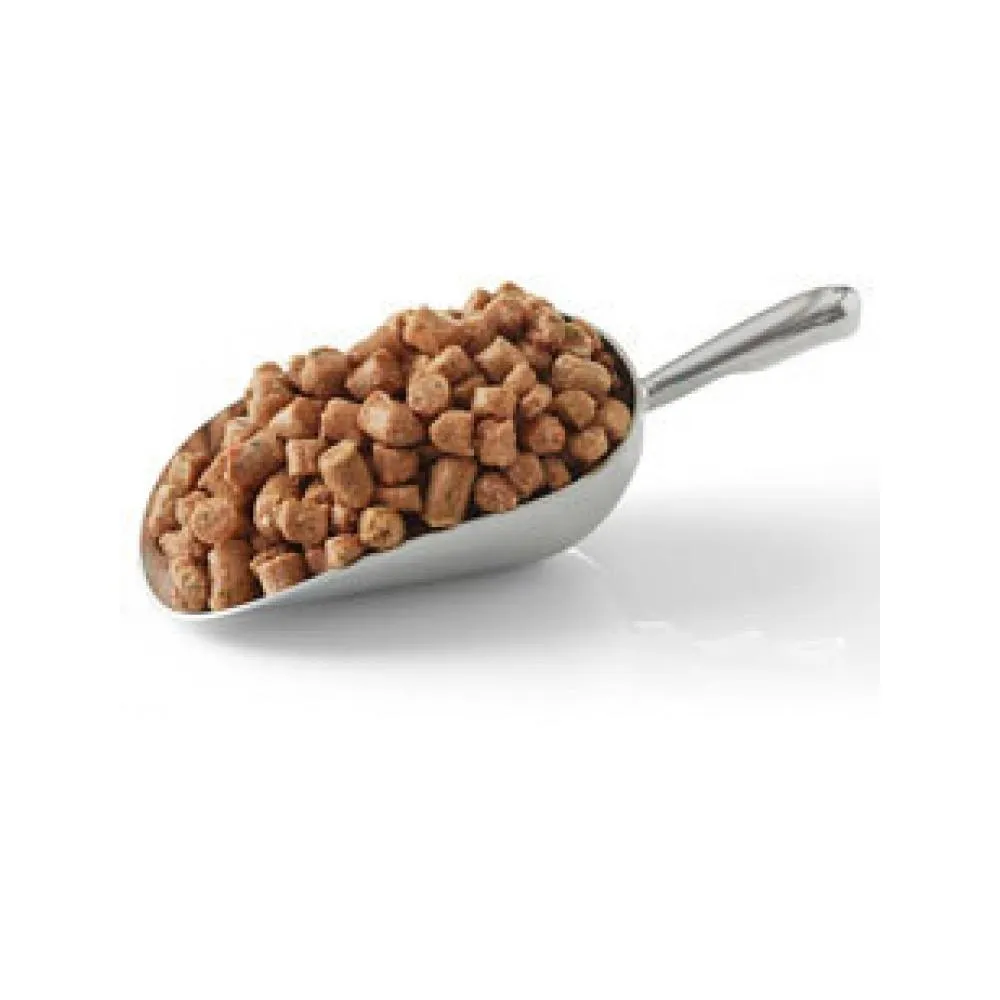 Frozen Turkey & Sardine Dog Food