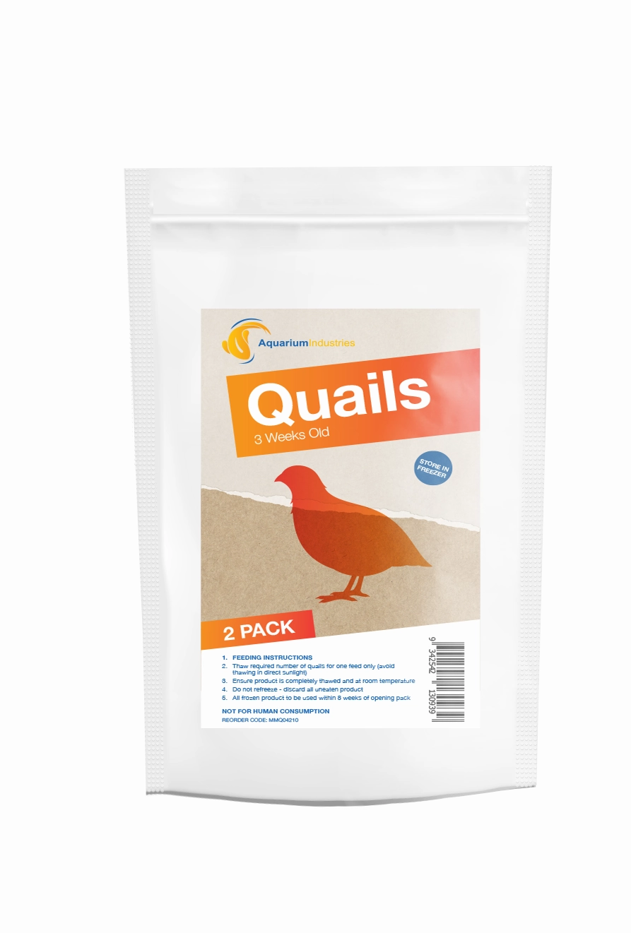 Frozen Quail 3 Week (3pk)