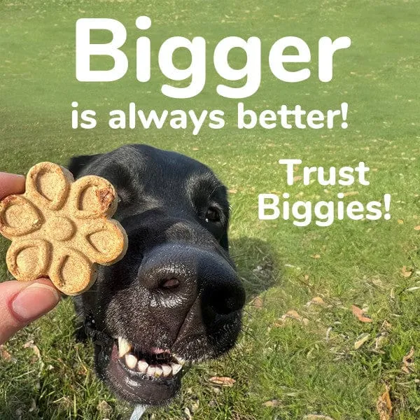 Fruitables Biggies Peanut Butter & Banana Dog Treats