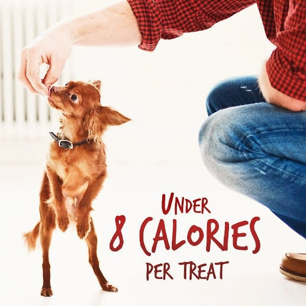 Fruitables Baked Crispy Bacon & Apple Dog Treats