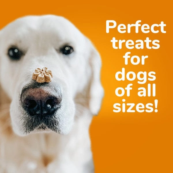 Fruitables Baked Crispy Bacon & Apple Dog Treats