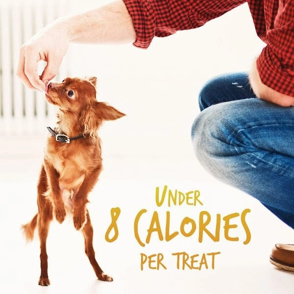 Fruitables Baked Pumpkin & Banana Dog Treats