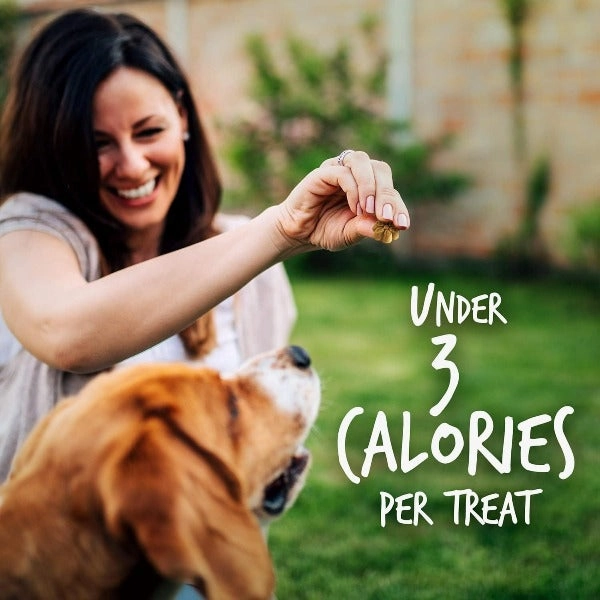 Fruitables Skinny Minis Pumpkin & Berry Flavor Dog Treats