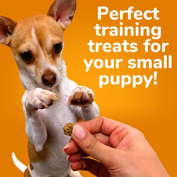 Fruitables Skinny Minis Pumpkin & Mango Flavor Dog Treats