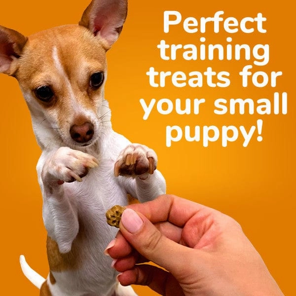 Fruitables Skinny Minis Watermelon Flavor Dog Treats