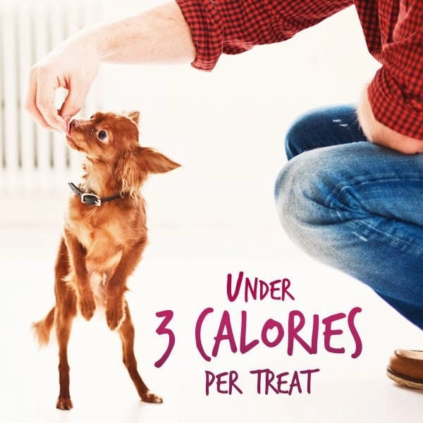 Fruitables Skinny Minis Watermelon Flavor Dog Treats