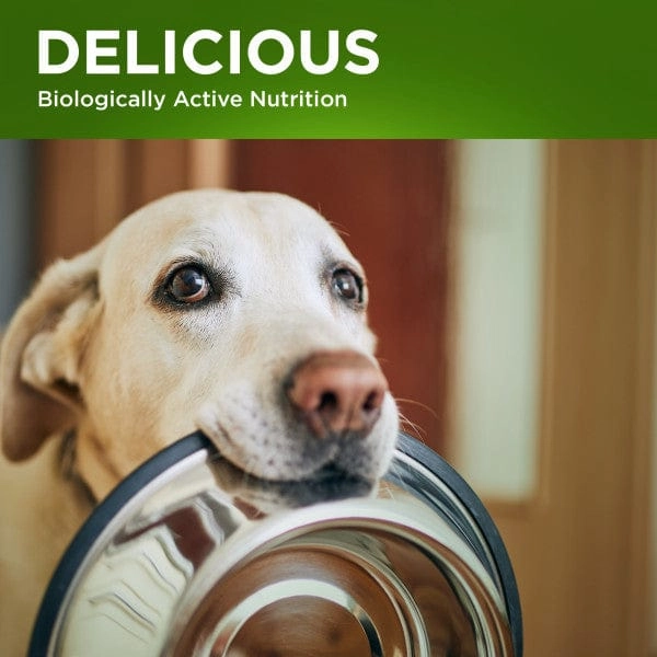 Fruitables Switch Food Transition Supplement for Dogs & Cats