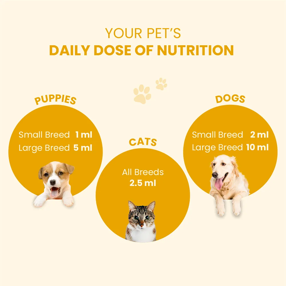 FurBall Story Supertonic Overall Wellness Syrup for Dogs and Cats