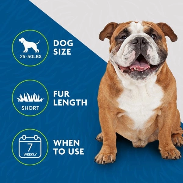 FURminator deShedding Tool Medium Dog Short Hair