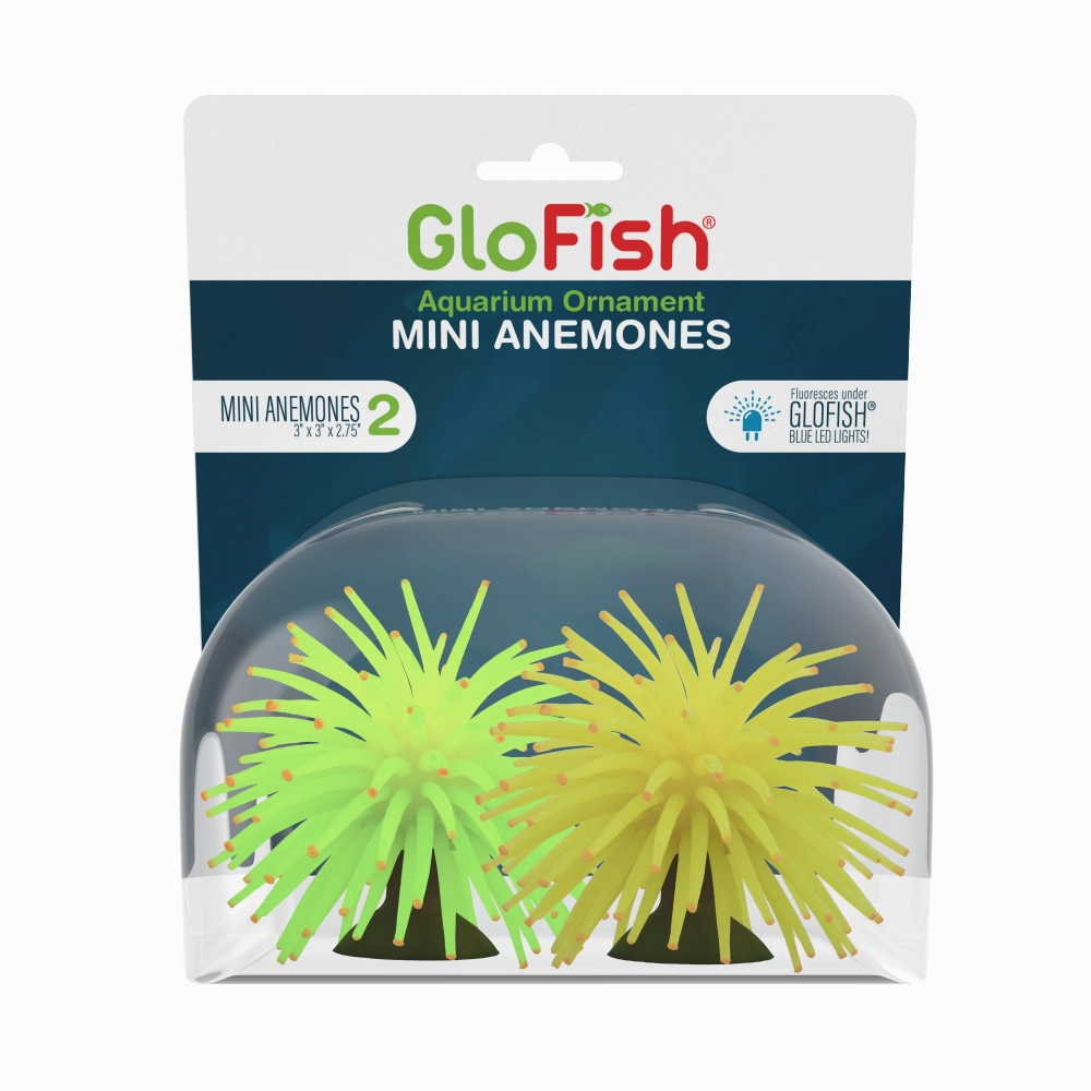 GloFish Anemone Mini Yellow and Green 2 count