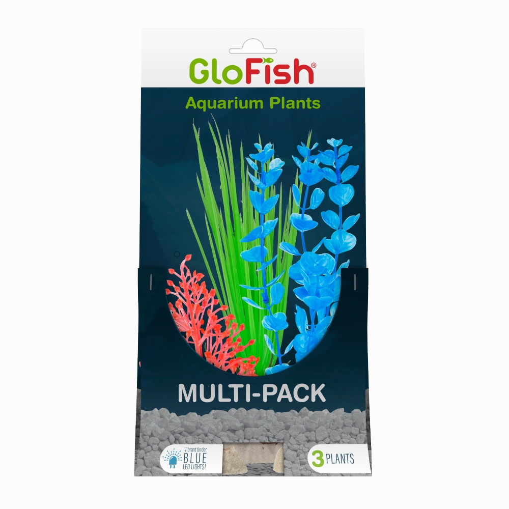 GloFish Multipack Plant 3 count
