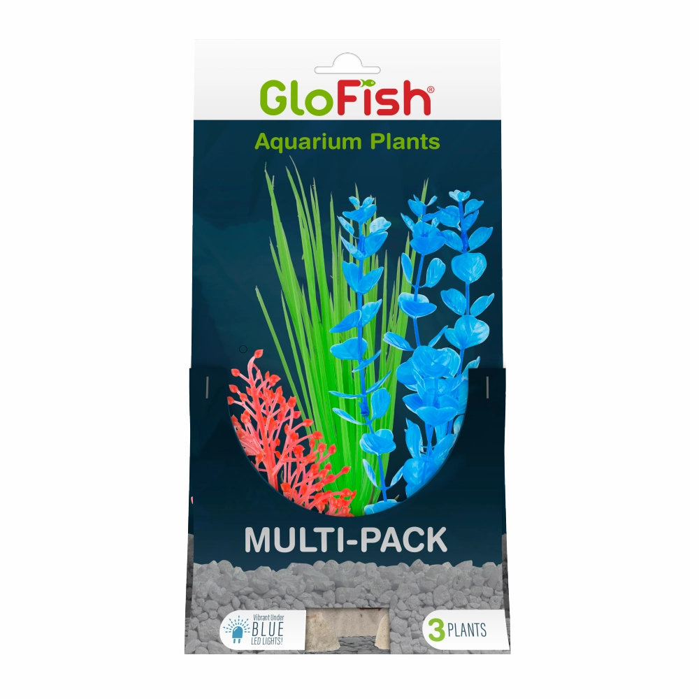 GloFish Multipack Plant 3 count