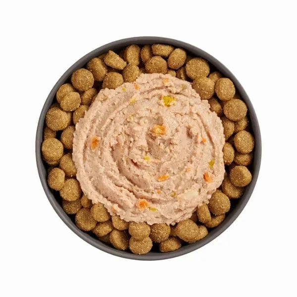 Go! Solutions Booster Digestive Health Chicken   Duck Pate Dog Food Topper