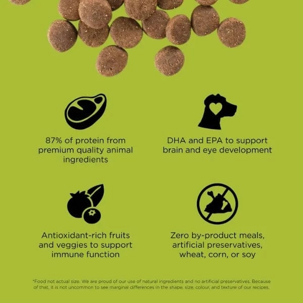 Go! Solutions Carnivore Grain-Free Chicken, Turkey & Duck Recipe Dry Puppy Food