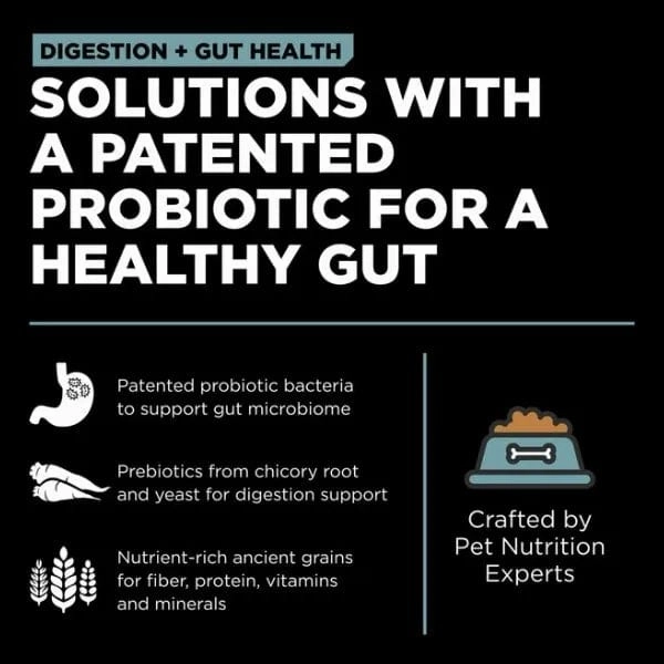 Go! Solutions Digestion   Gut Health, Chicken Recipe with Ancient Grains Dry Dog Food
