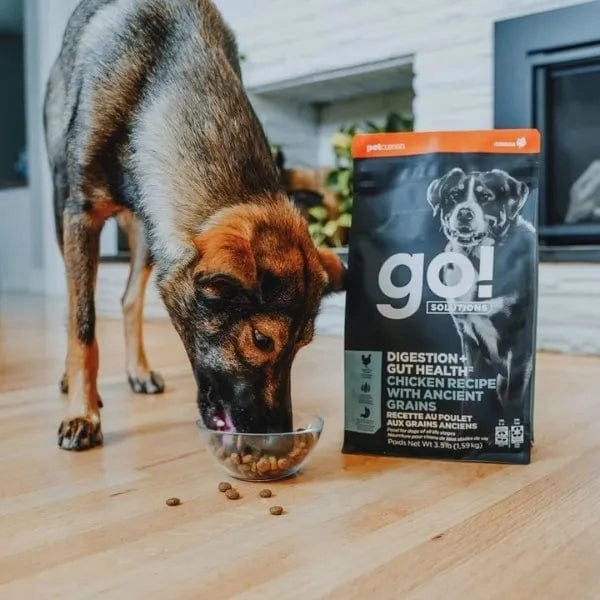Go! Solutions Digestion   Gut Health, Chicken Recipe with Ancient Grains Dry Dog Food