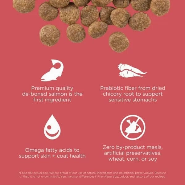 Go! Solutions Sensitivities Limited Ingredient Grain Free Salmon Recipe Dry Dog Food