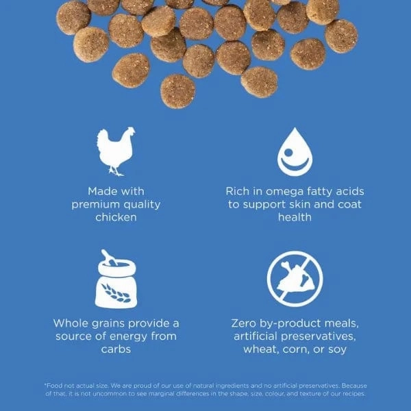 Go! Solutions Skin & Coat Care Chicken Recipe with Grains Dry Dog Food