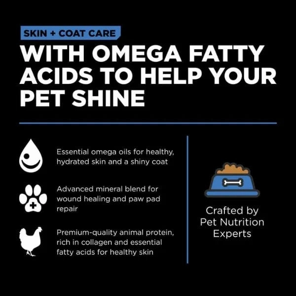 Go! Solutions Skin & Coat Care Chicken Recipe with Grains Dry Dog Food