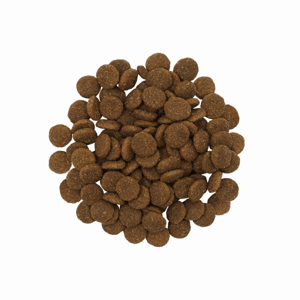 Go! Solutions Skin & Coat Care Large Breed Salmon Recipe with Grains Dry Dog Food