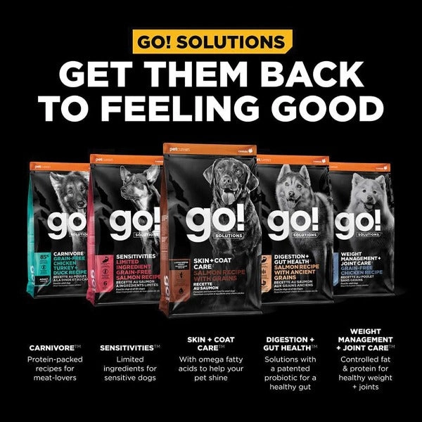 Go! Solutions Skin & Coat Care Large Breed Salmon Recipe with Grains Dry Dog Food