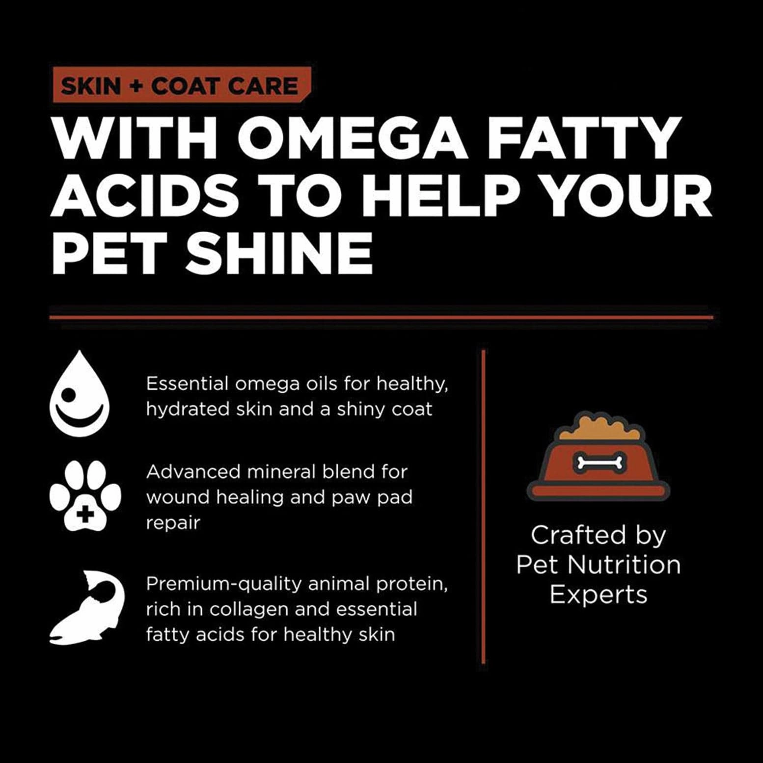 Go! Solutions Skin & Coat Care Large Breed Salmon Recipe with Grains Dry Dog Food