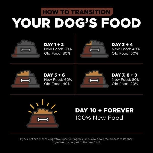Go! Solutions Skin & Coat Care Large Breed Salmon Recipe with Grains Dry Puppy Food