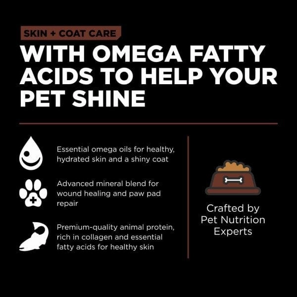 Go! Solutions Skin & Coat Care Large Breed Salmon Recipe with Grains Dry Puppy Food