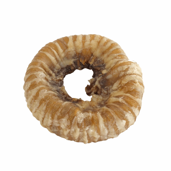 Golden Bridge Trachea Ring