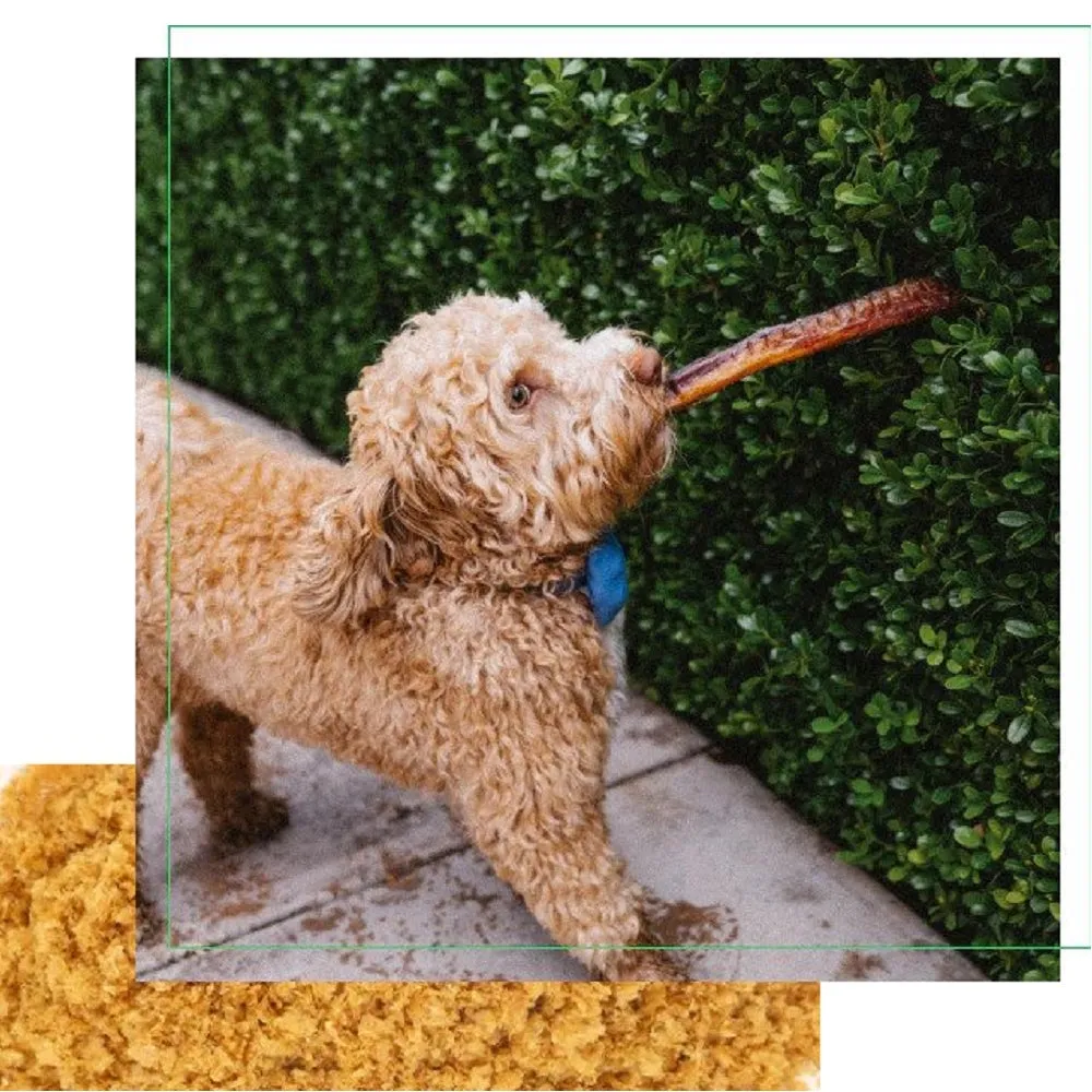 Grass Fed Beef Pizzle