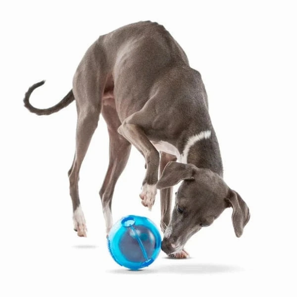 GURU Ball Dog Toy
