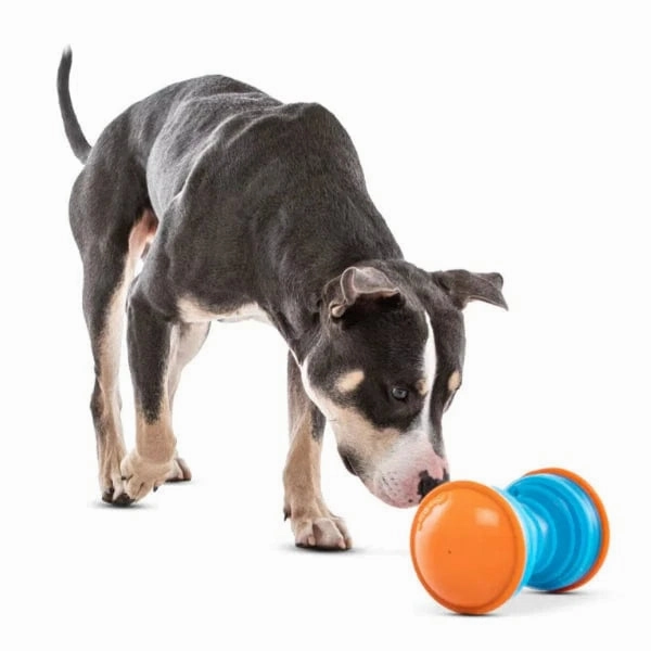 GURU Bouncer Dog Toy