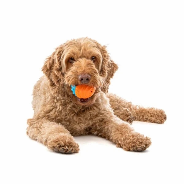 GURU Crunch & Squeak Ball Dog Toy