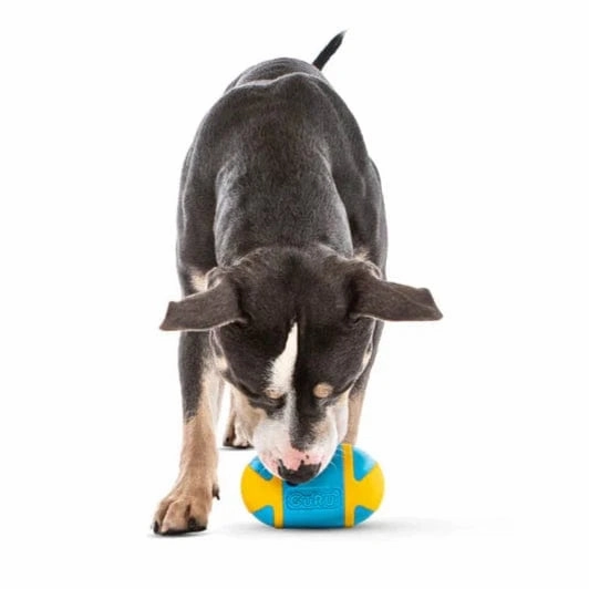 GURU Rock 'N Treat Dog Toy