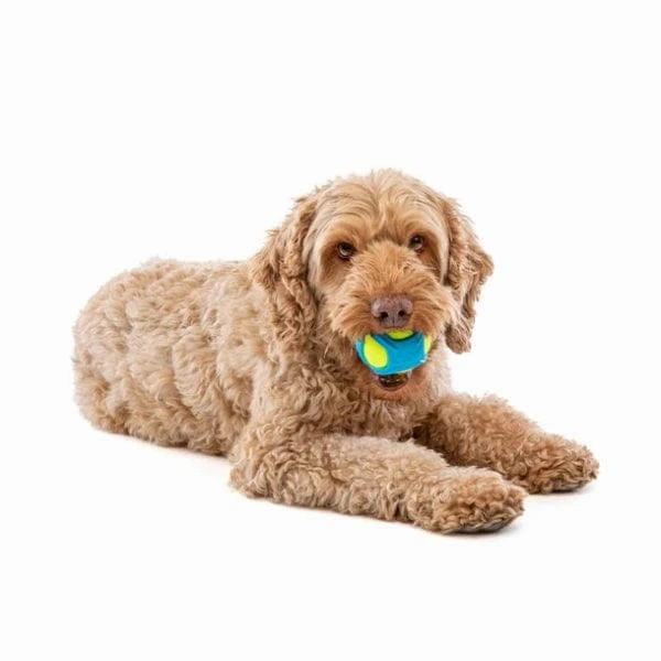 GURU Tennis Max Ball Dog Toy