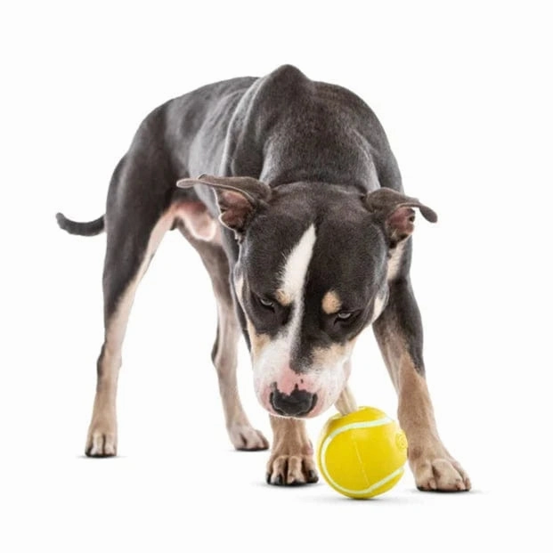 GURU Tennis Treat Ball Dog Toy