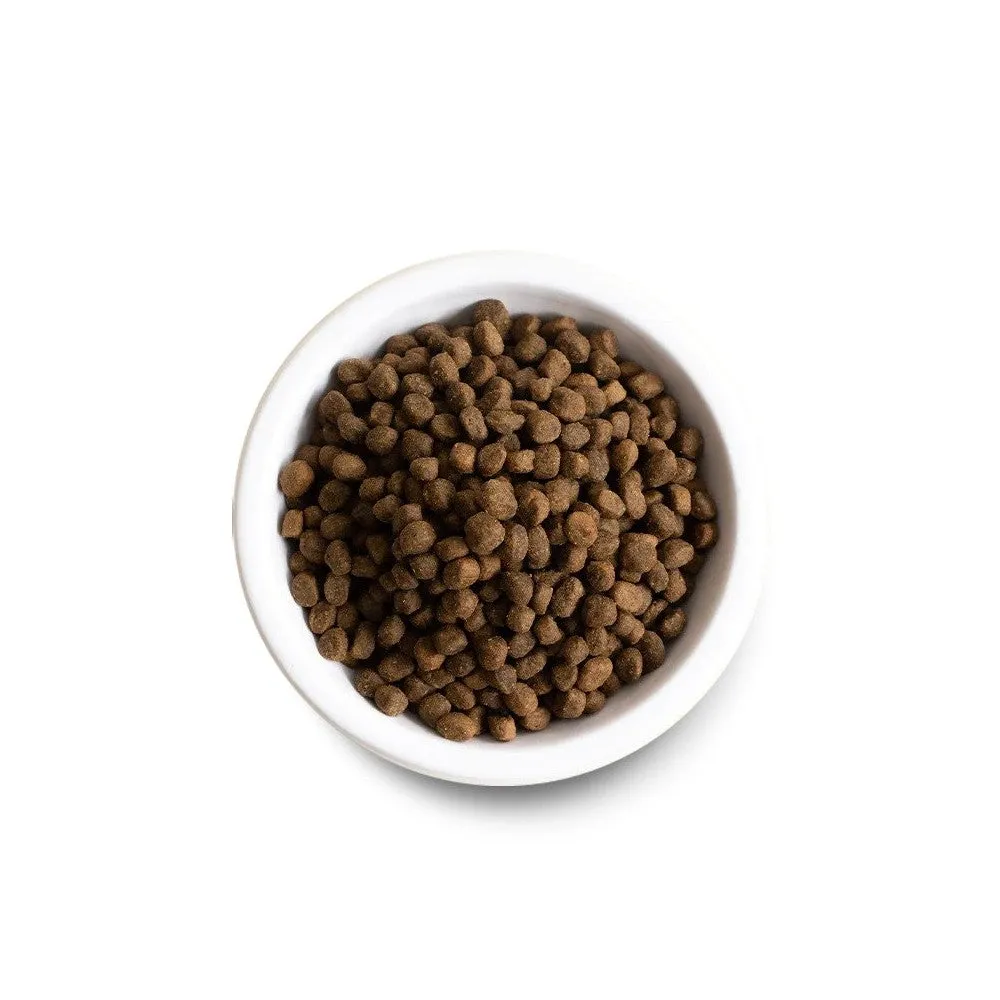 Homestead Turkey & Chicken Dog Dry Food