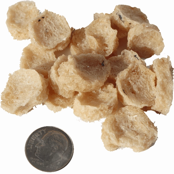 Icelandic  Cod Chips Mini Fish Chips Dog Treat (SPECIAL ORDER ITEM)