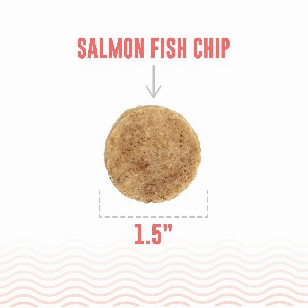 Icelandic  Salmon Fish Chips Dog Treats (SPECIAL ORDER ITEM)