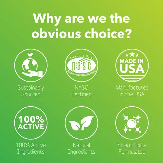 InClover BioResiliant Allergy Powder Supplement for Dogs & Cats