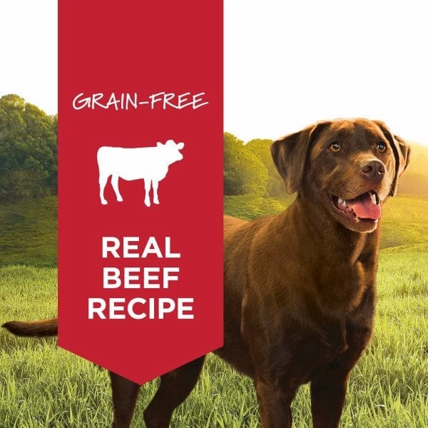 Instinct Original Real Beef Recipe Canned Dog Food