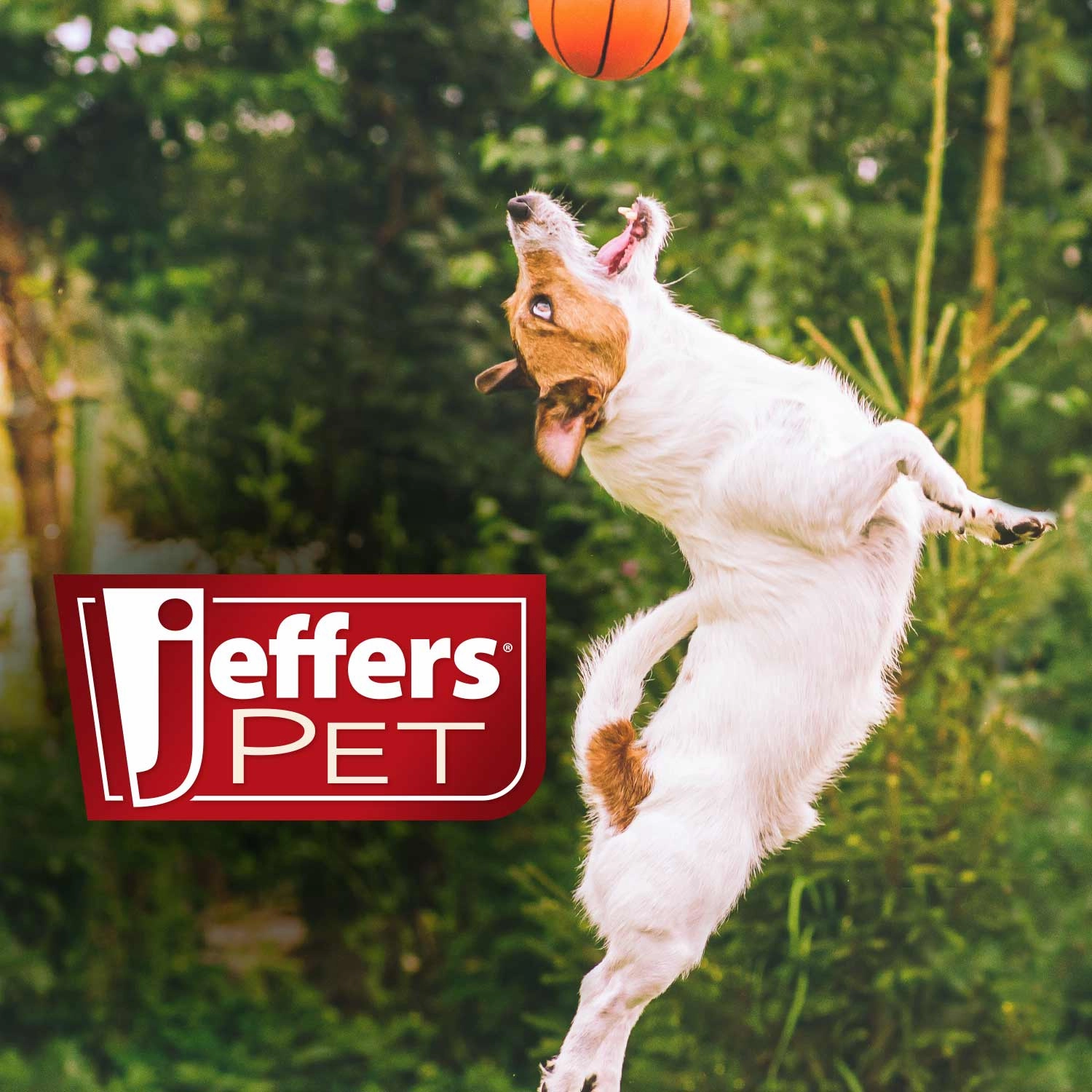 Jeffers Pet Colognes with Coat Conditioner, 16 oz Spray